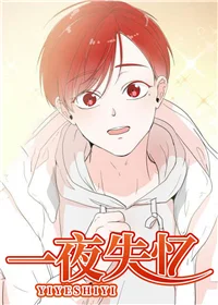 一夜失忆封面