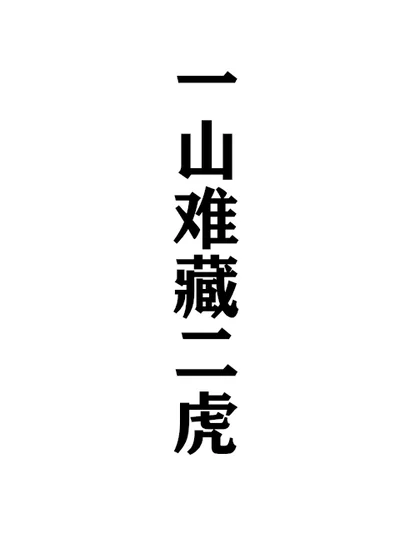 一山难藏二虎封面