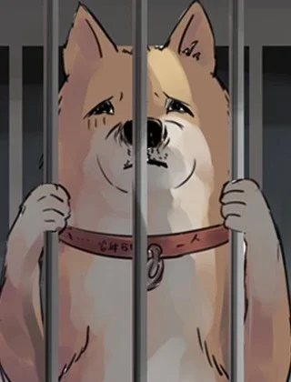 一条狗封面