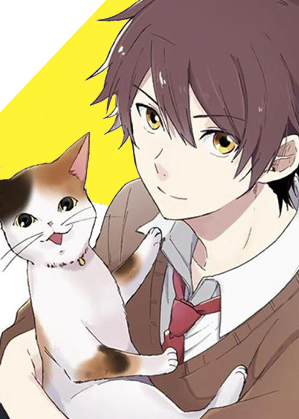 三花猫猫部封面