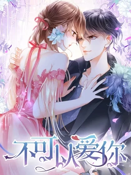 不可以爱你封面