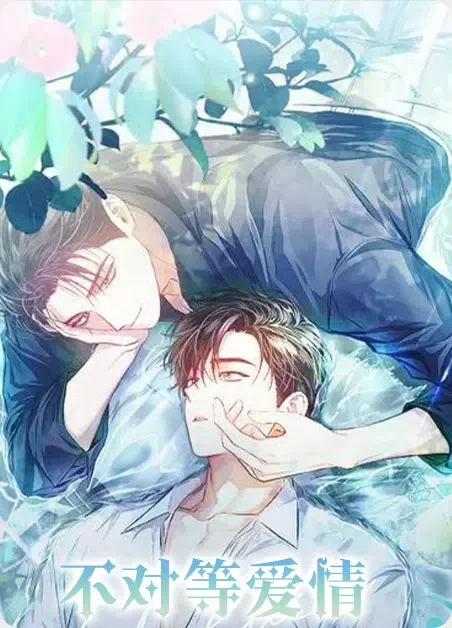 不对等爱情封面