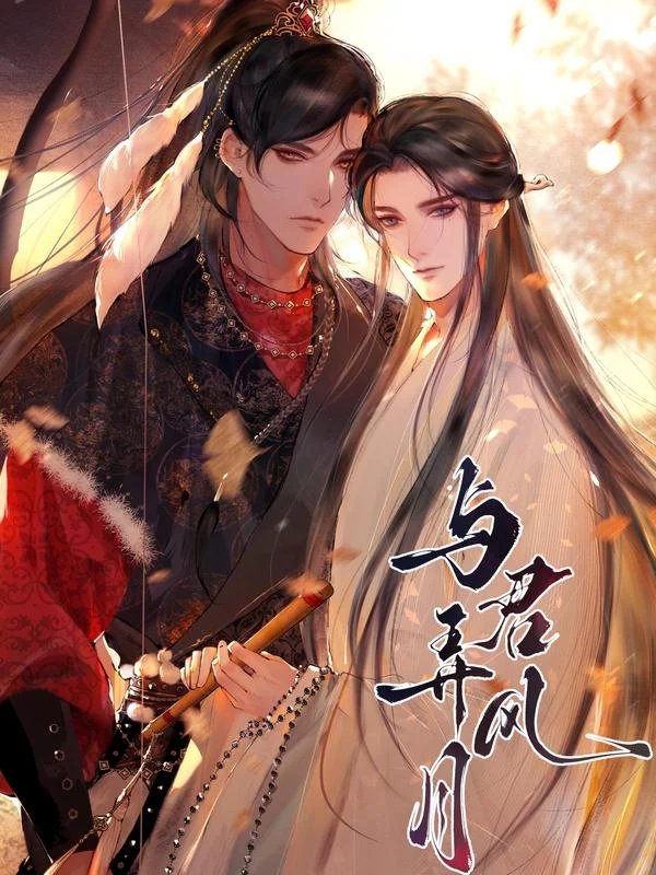 与君弄风月封面