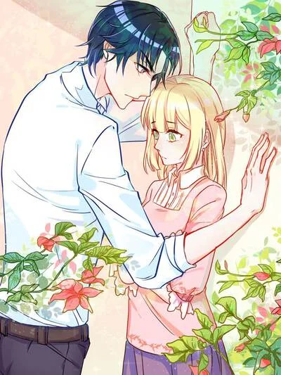 世界第一宠婚封面