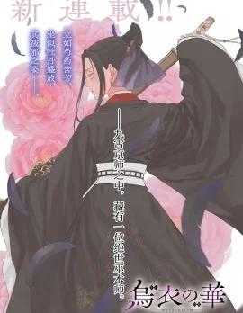 乌衣之华封面
