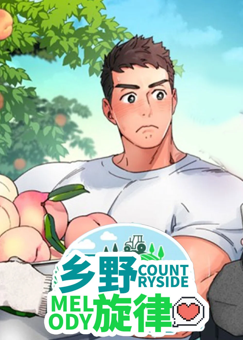 乡野旋律封面