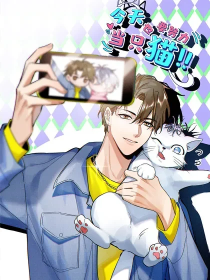 今天也要努力当只猫封面