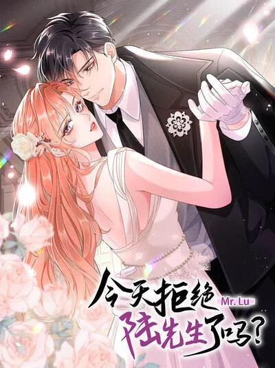 今天拒绝陆先生了吗？封面