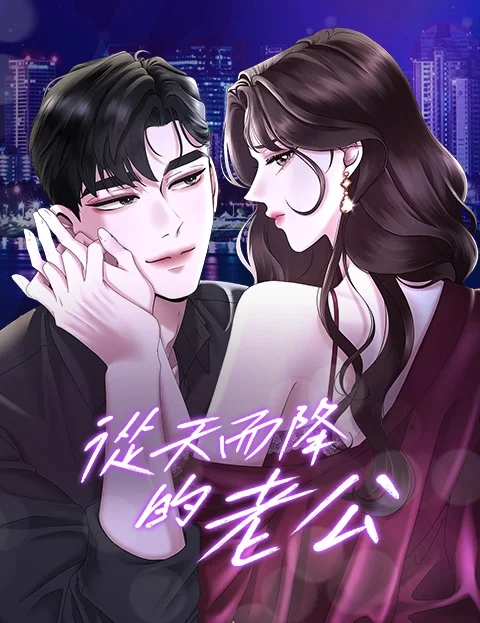 从天而降的老公封面