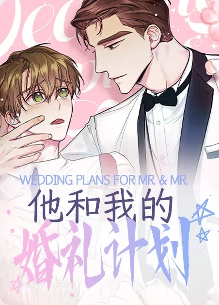 他和我的婚礼计划封面