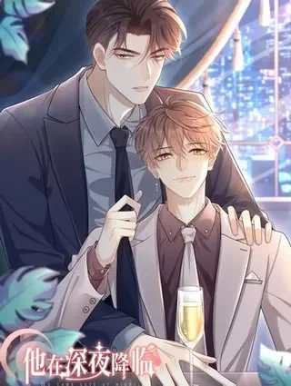 他在深夜降临封面