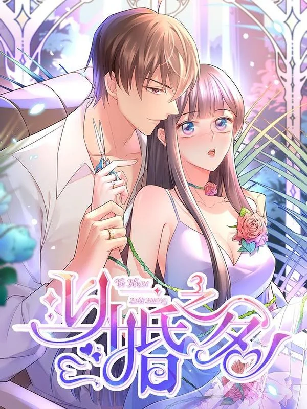 以婚之名封面