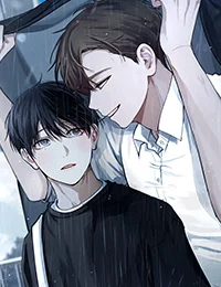 似曾相识封面