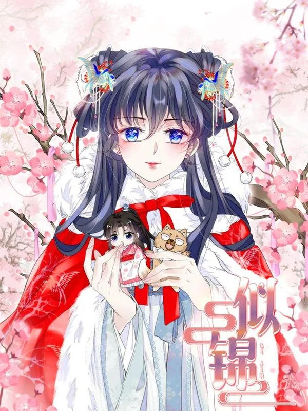 似锦封面