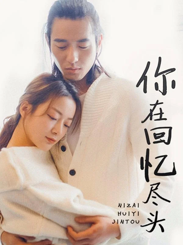 你在回忆尽头封面