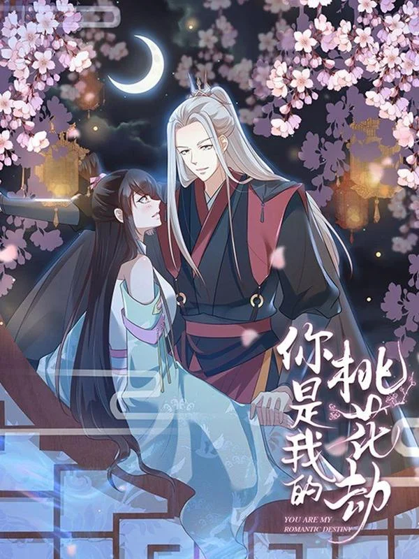你是我的桃花劫封面