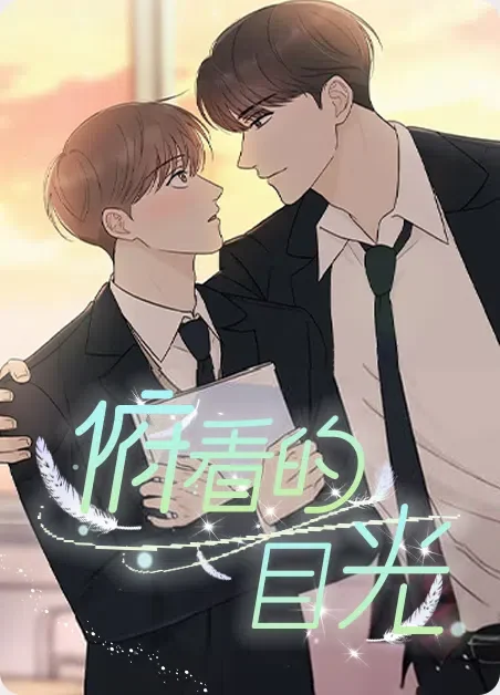 俯看的目光封面