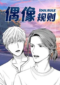 偶像规则封面