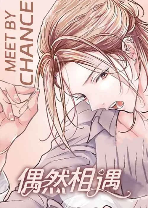 偶然相遇封面