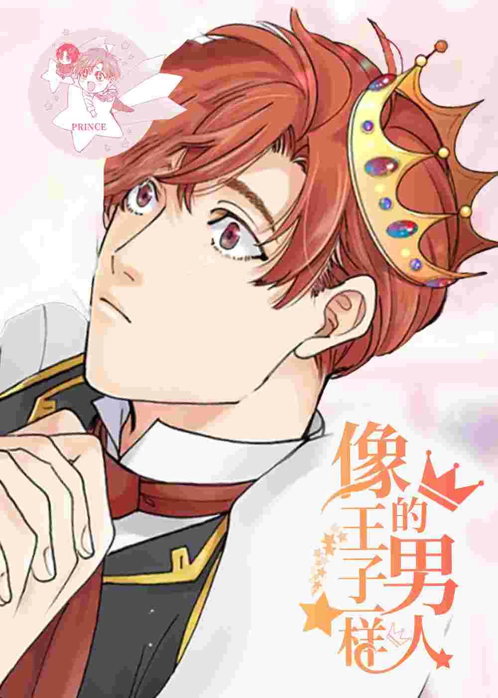 像王子一样的男人封面