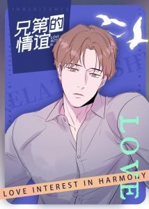 兄弟的情谊封面