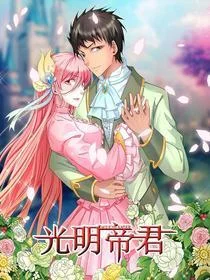 光明帝君封面