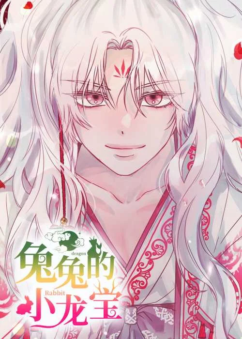 兔兔的小龙宝封面