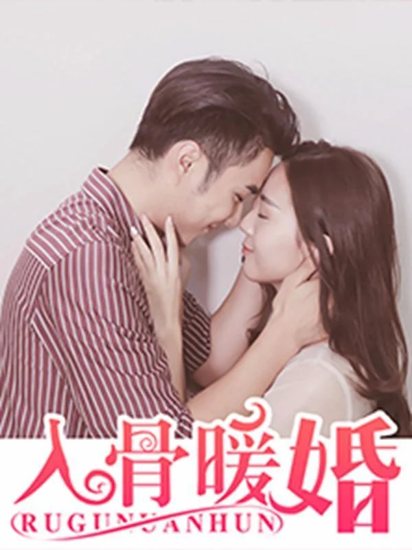 入骨暖婚（真人版）封面