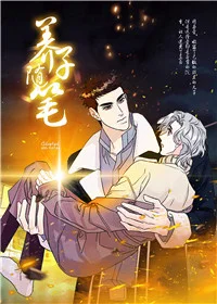 养子随笔封面