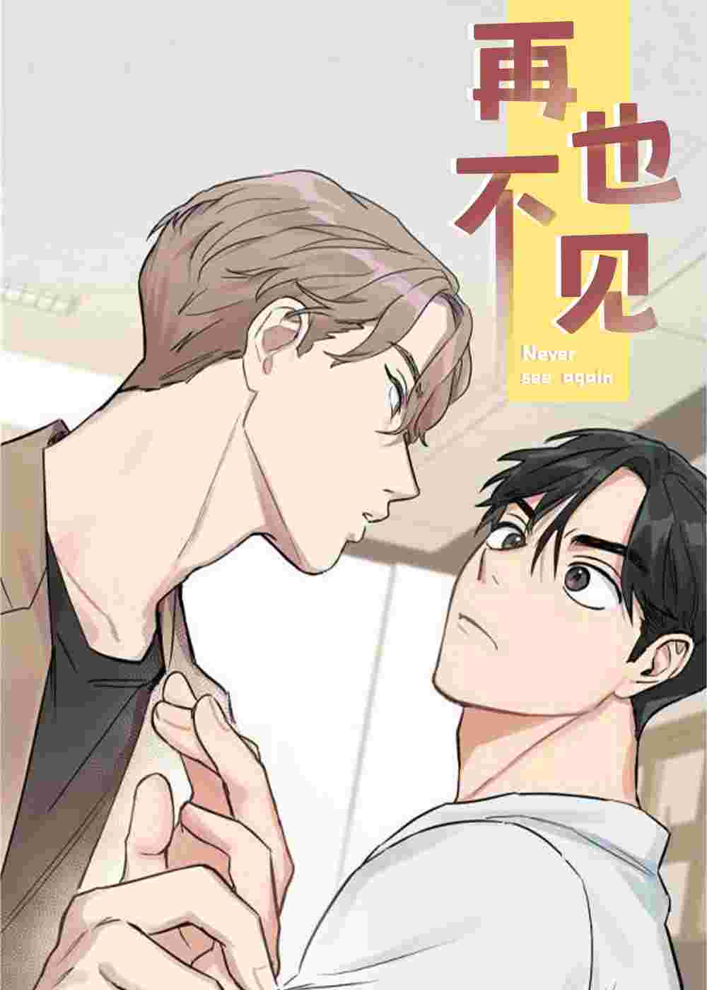 再也不见封面