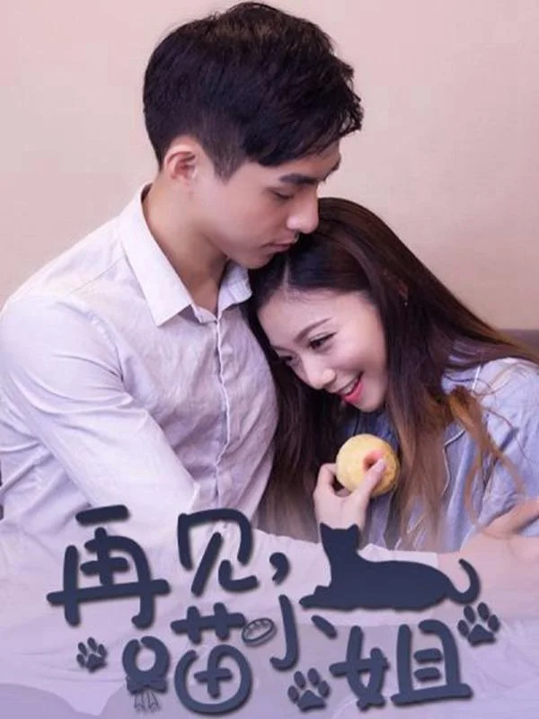 再见喵小姐封面