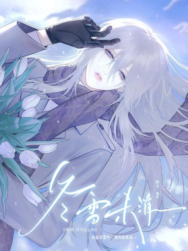 冬雪未消封面