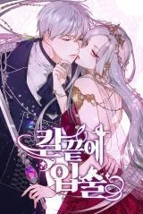刀尖之吻封面