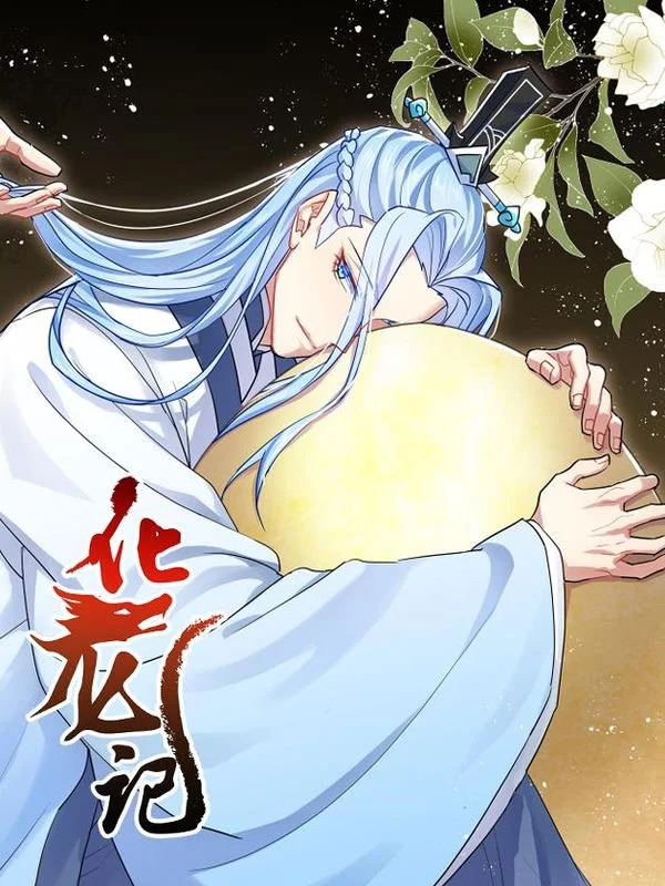 化龙记封面