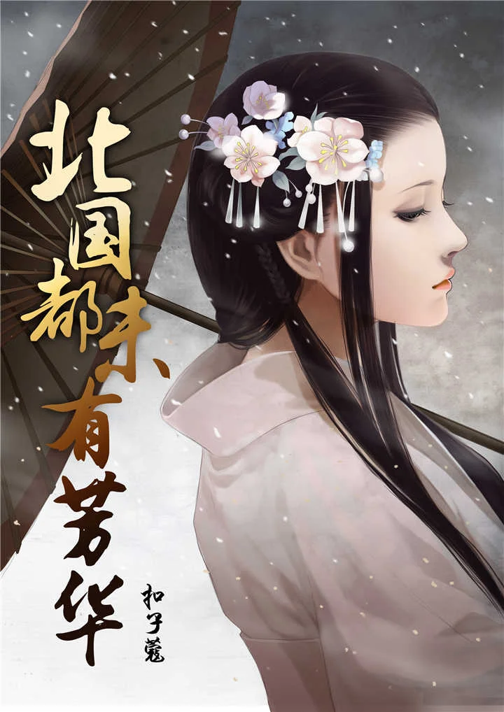 北国都未有芳华封面