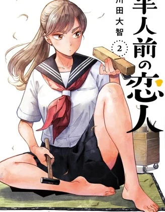 半调子恋人封面
