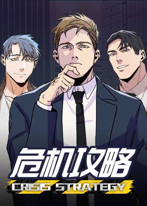 危机攻略封面