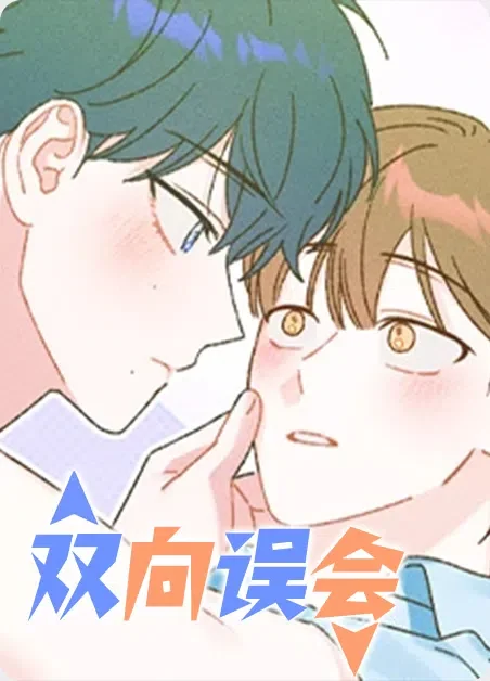 双向误会封面