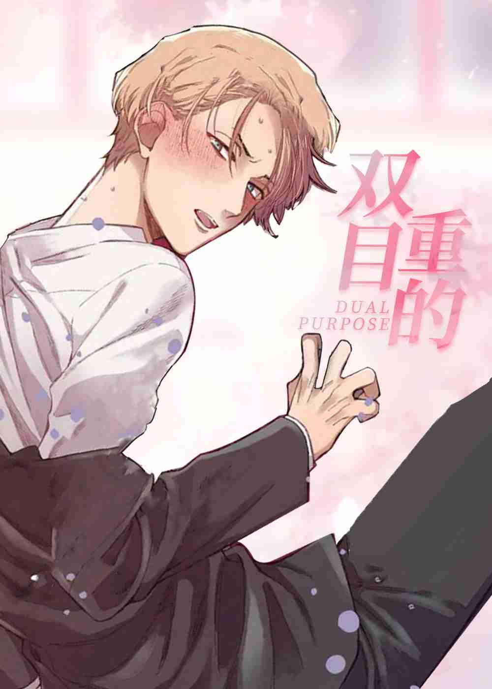双重目的封面