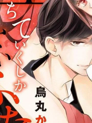 只愿与你沉沦封面