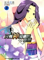只有神知道的世界封面