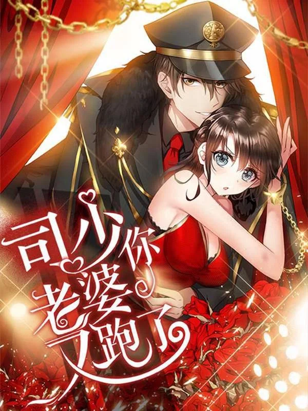 司少你老婆又跑了封面