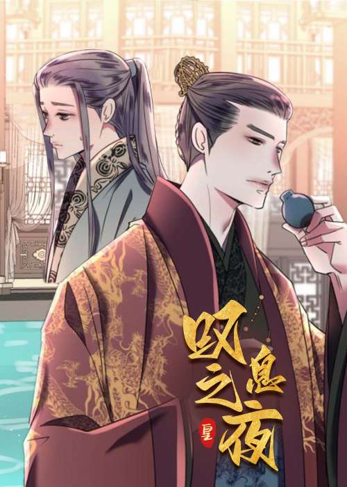 叹息之夜封面