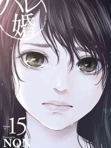 后宫婚封面