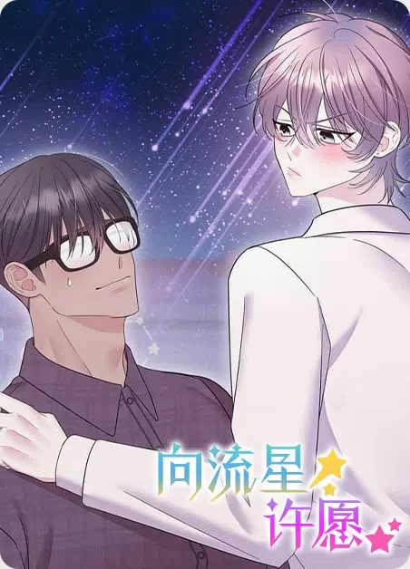 向流星许愿封面