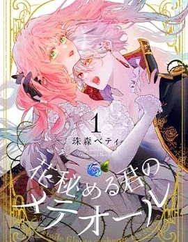君掩花间流星将至封面