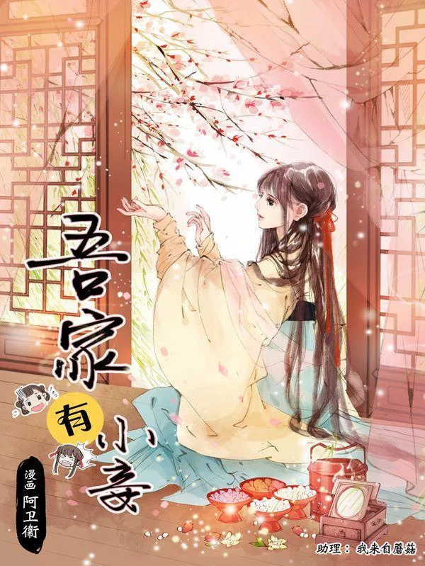 吾家有小妾封面