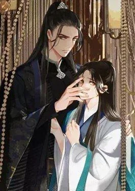 哑奴2：探花封面