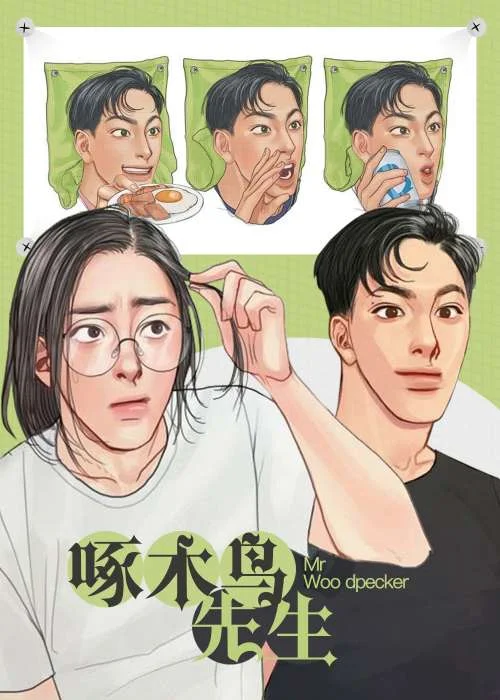 啄木鸟先生封面