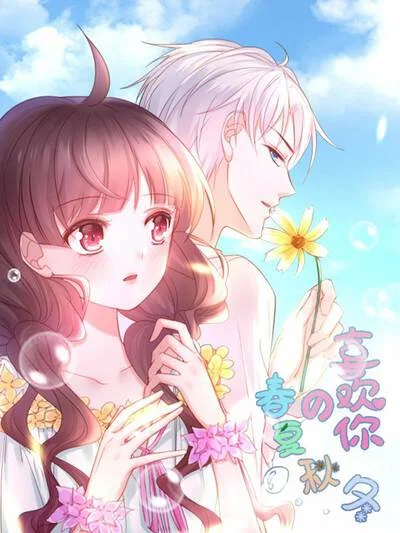 喜欢你的春夏秋冬封面